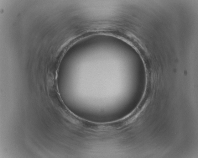 X0000074311449200609081930