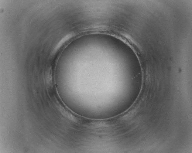 X0000074311450200609081930