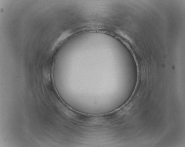 X0000074311451200609081930