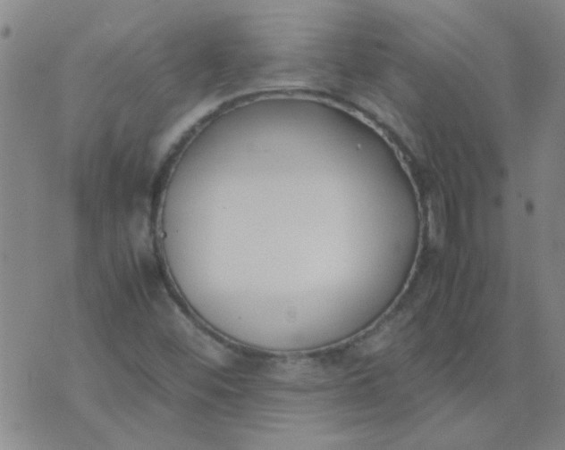 X0000074311452200609081930