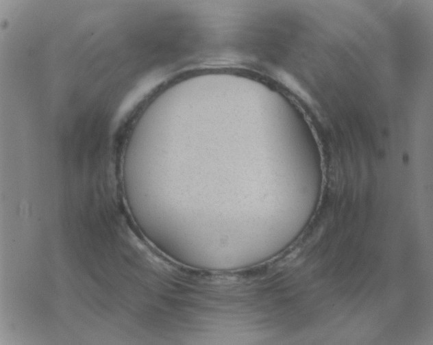 X0000074311456200609081930