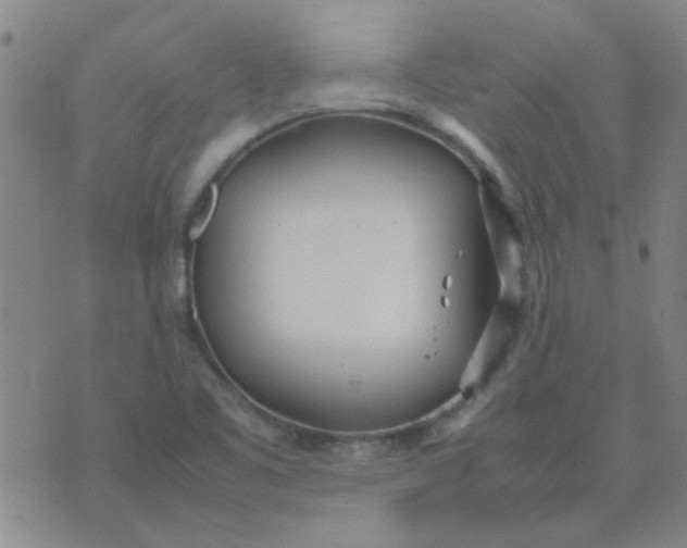 X0000074311461200609081930