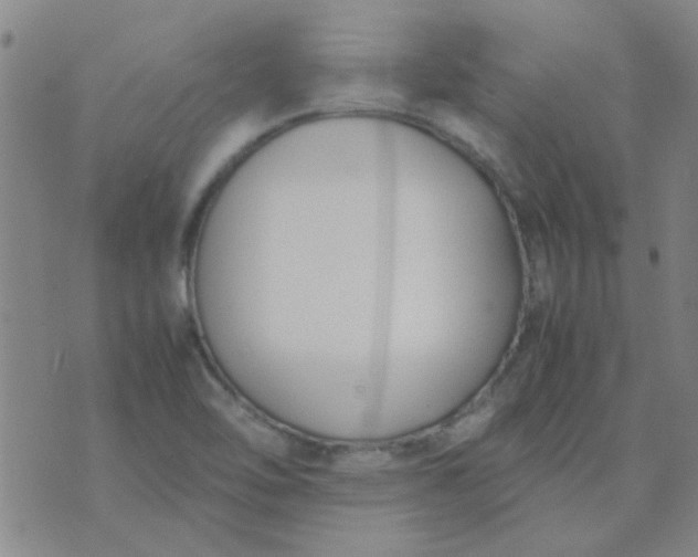 X0000074311462200609081930