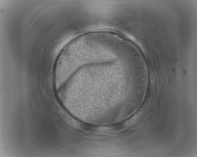 X0000074311463200609081930