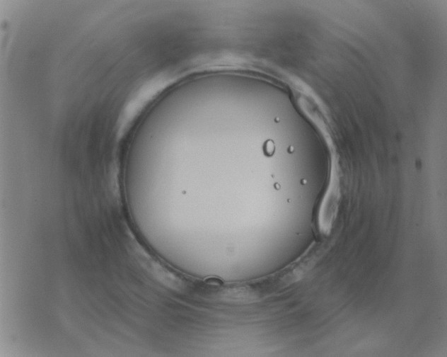 X0000074311464200609081930