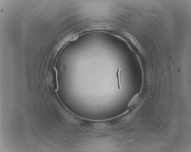 X0000074311465200609081930