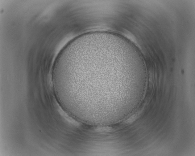 X0000074311466200609081930