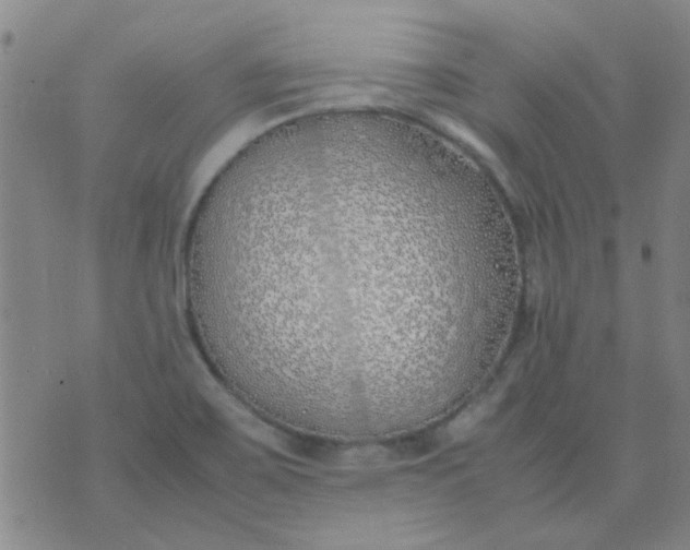 X0000074311467200609081930