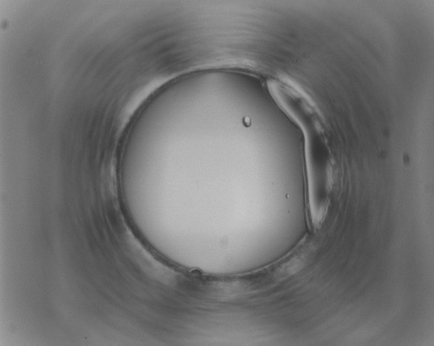 X0000074311468200609081930