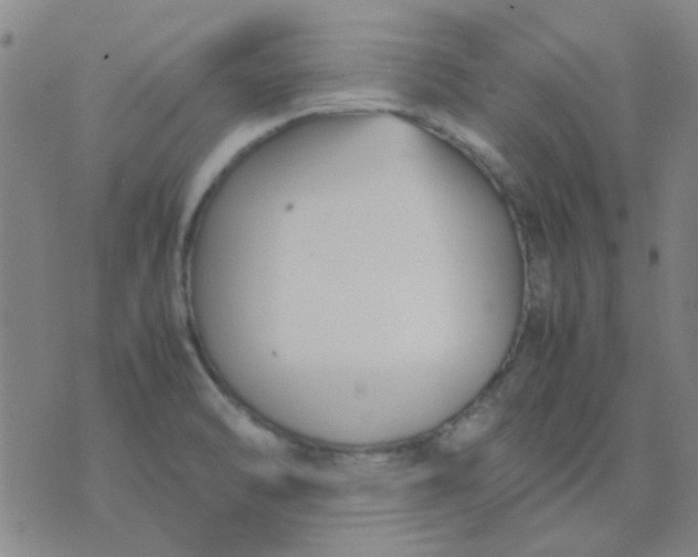 X0000074311470200609081930