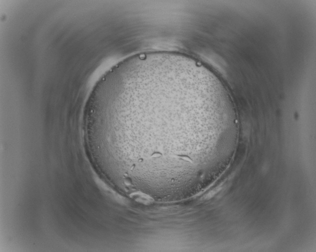 X0000074311471200609081930