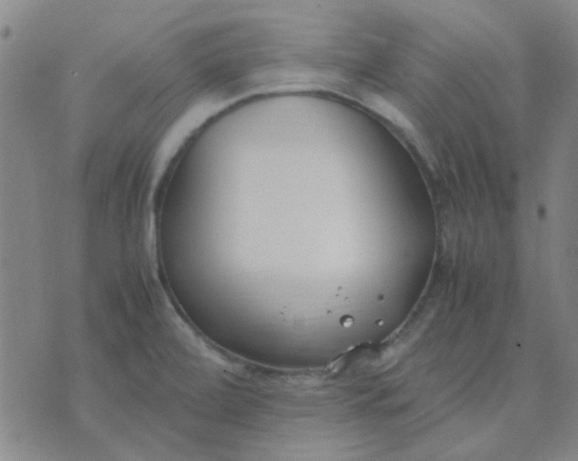 X0000074311472200609081930