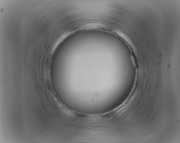 X0000074311473200609081930