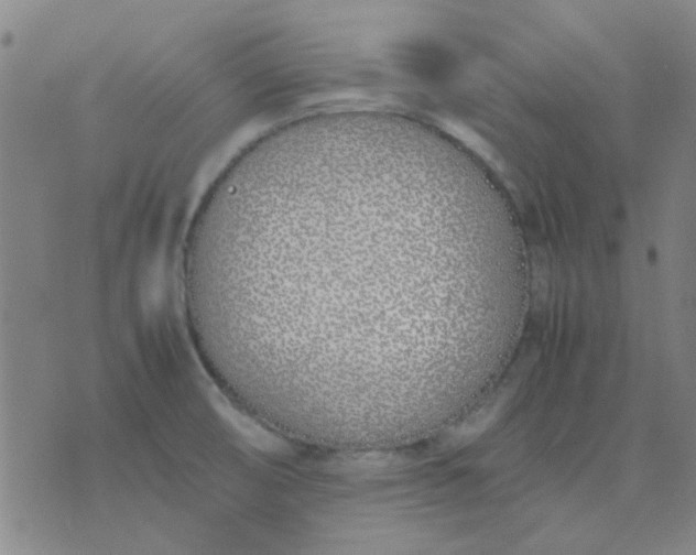 X0000074311474200609081930