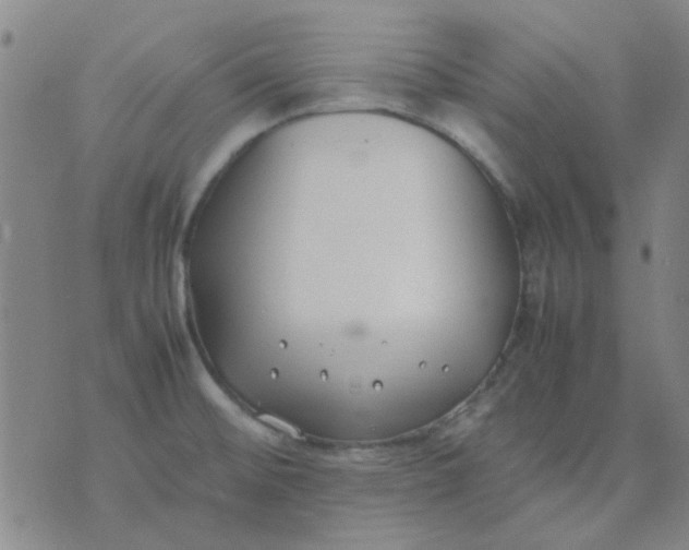 X0000074311476200609081930