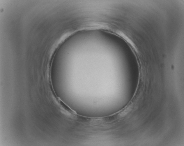 X0000074311477200609081930