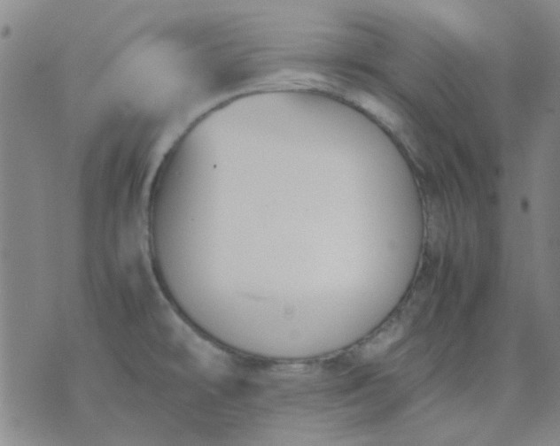 X0000074311478200609081930