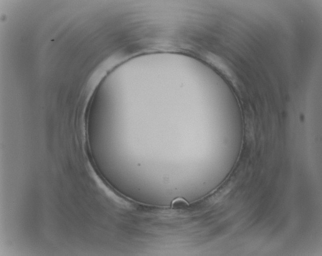 X0000074311479200609081930