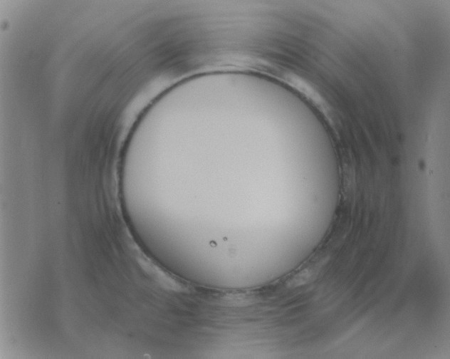 X0000074311480200609081930