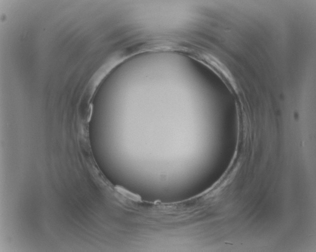 X0000074311481200609081930