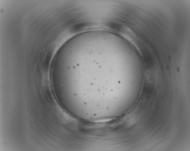 X0000074311482200609081930