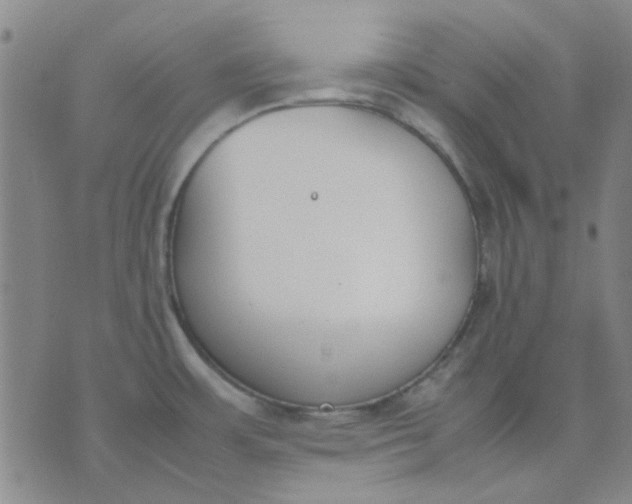 X0000074311483200609081930