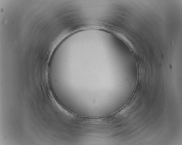 X0000074311484200609081930