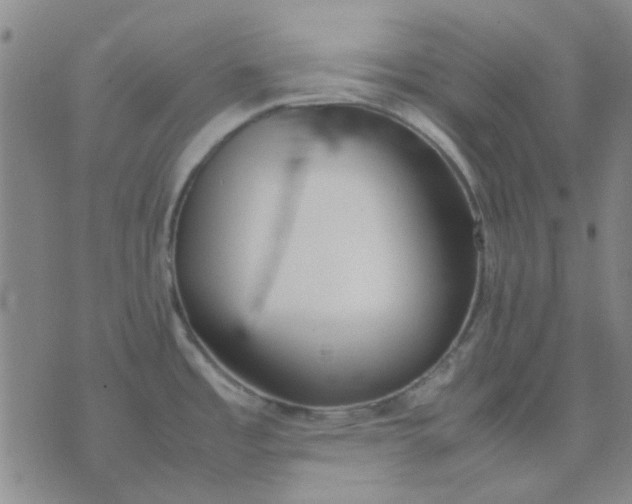 X0000074311485200609081930