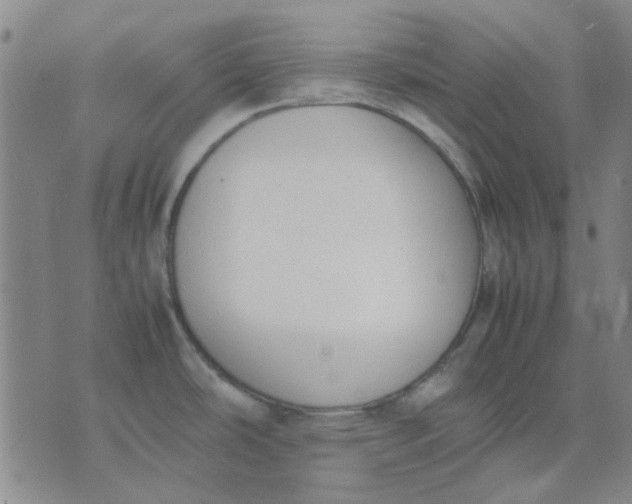 X0000074311486200609081930