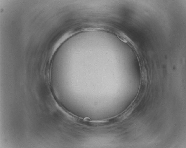 X0000074311487200609081930