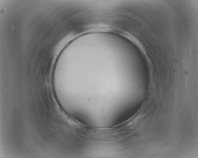 X0000074311488200609081930