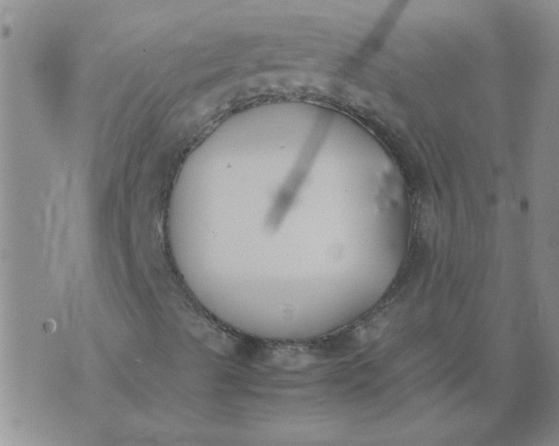 X0000074311489200609081929