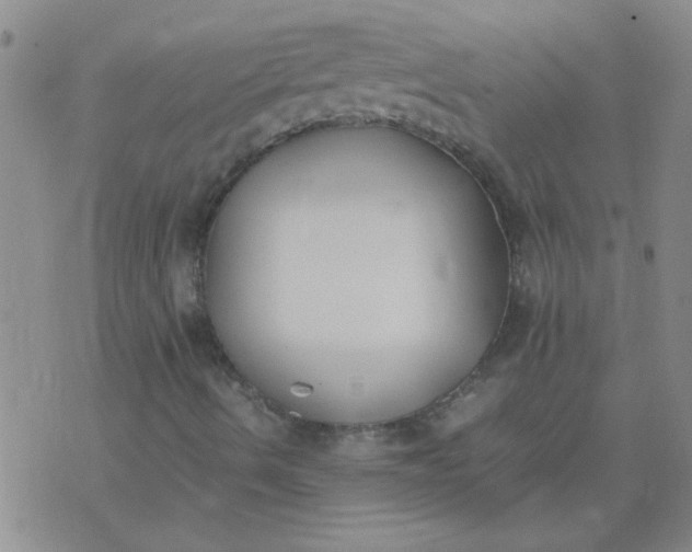 X0000074311490200609081929