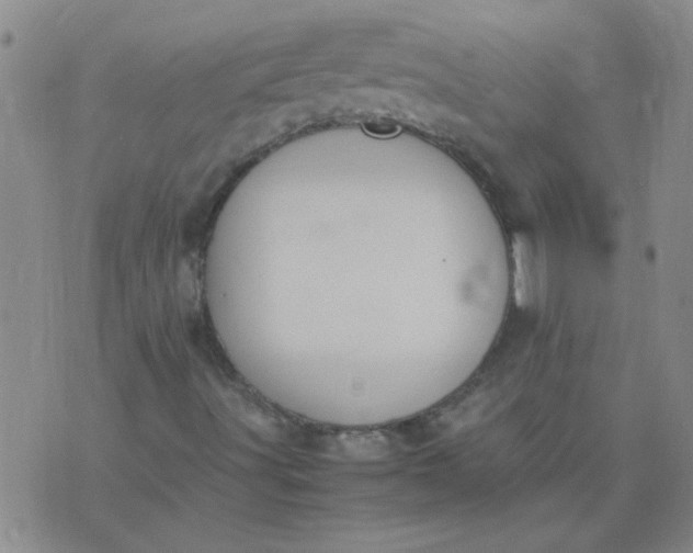 X0000074311491200609081929