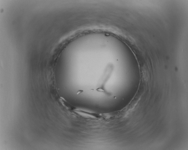 X0000074311494200609081929