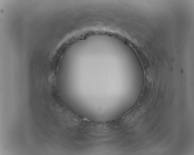 X0000074311495200609081929