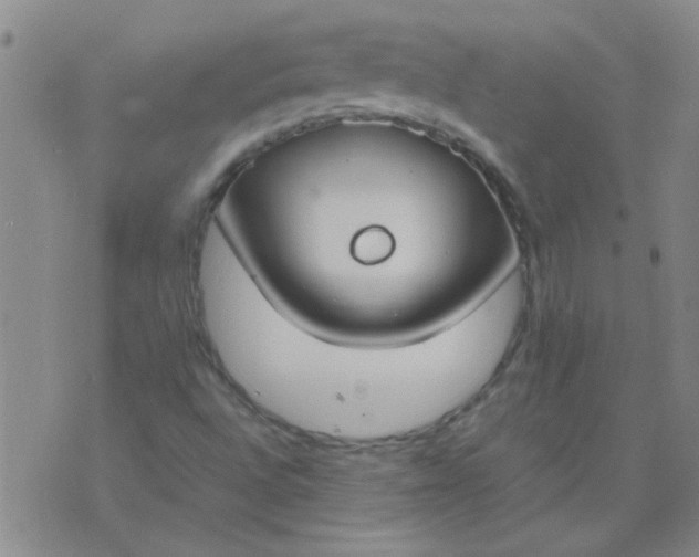 X0000074311496200609081929