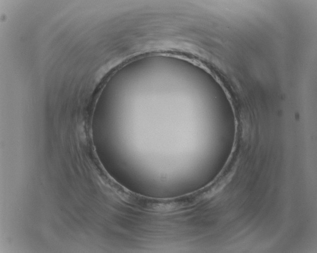 X0000074311497200609081929