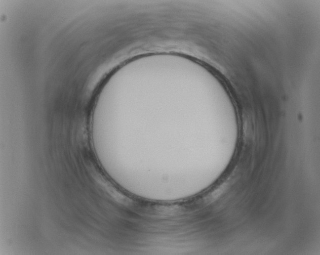 X0000074311498200609081929