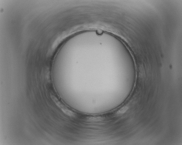 X0000074311499200609081929