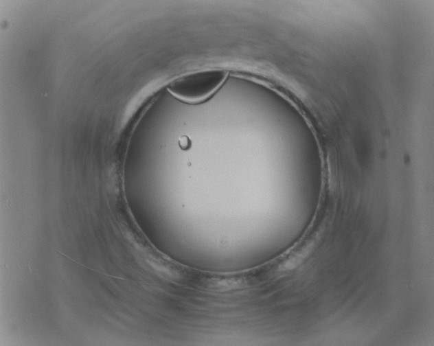 X0000074311501200609081929