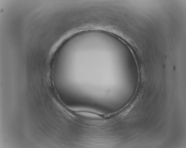 X0000074311502200609081929