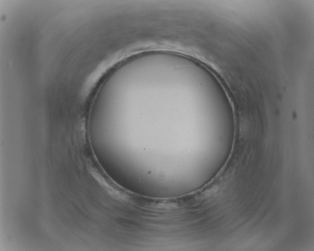 X0000074311503200609081929