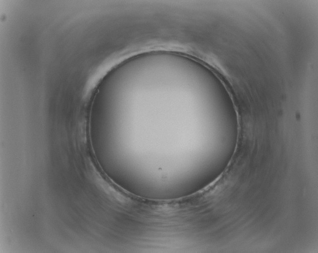 X0000074311504200609081929