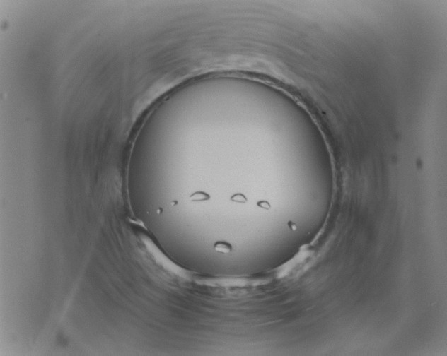 X0000074311505200609081929