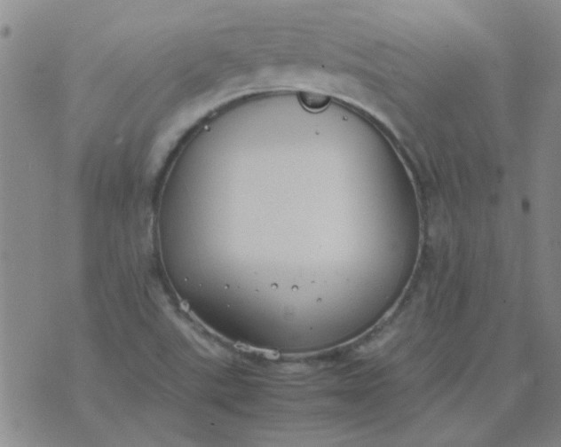 X0000074311507200609081929