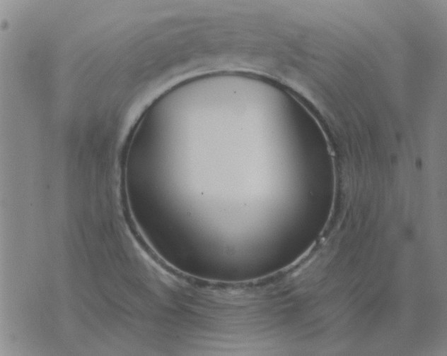 X0000074311508200609081929