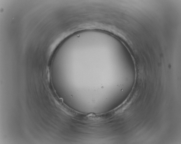 X0000074311509200609081929