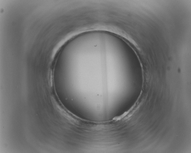 X0000074311510200609081929