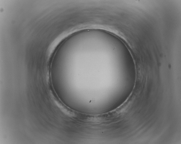 X0000074311511200609081929